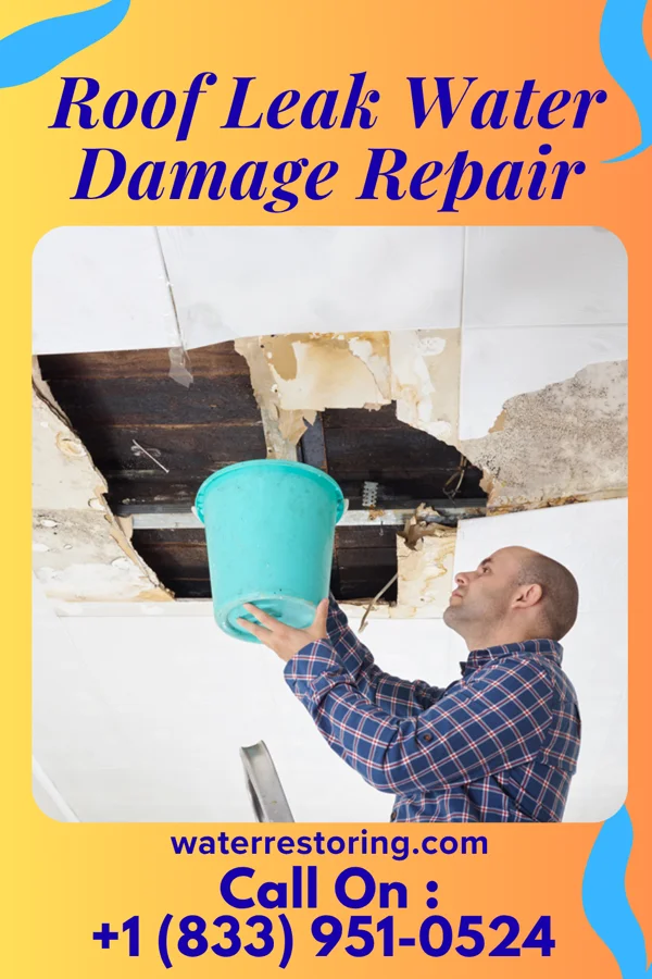 Roof Leak Water Damage Repair in Four Corners, OR